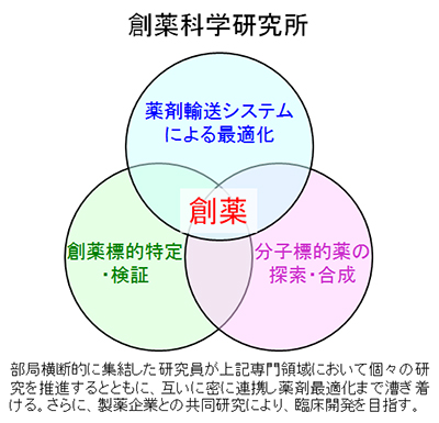 創薬科学研究所、図1