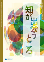 人間社会システム科学研究科2017パンフレット