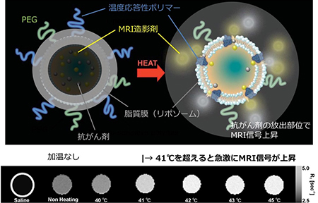 加温により抗がん剤と造影剤を放出するリポソームの概念図