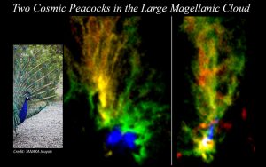 Two cosmic peacocks in the large maggenic cloud, photo