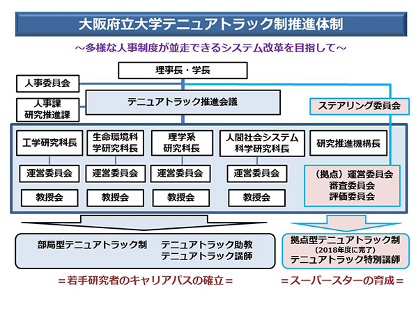 大阪府立大学のテニュアトラック制度推進体制、画像