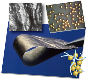 Figure: Gold leaf created by cellulose nanofibers and AuNP, image