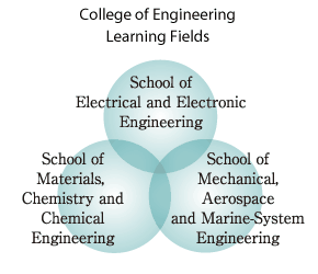 College of Engineering Learning Fields