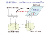 共感覚に関する認知科学的研究