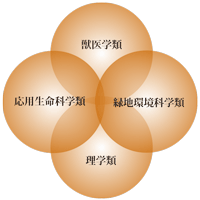 生命環境科学域の4学類