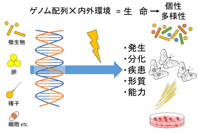 図1　ゲノム研究の必要性