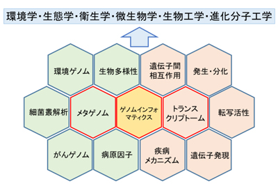 図2　研究の概要