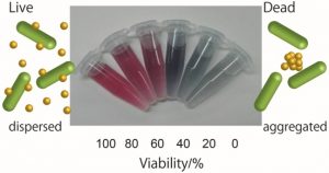 Figure. Color change of the suspension on a ratio of live/dead bacteria.picture