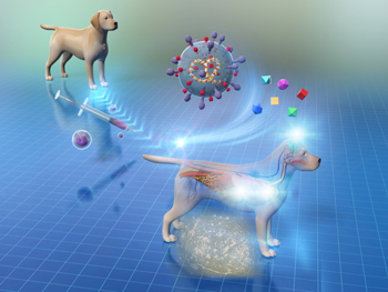 New Stem Cell Therapy in Dogs—A Breakthrough in Veterinary Medicine