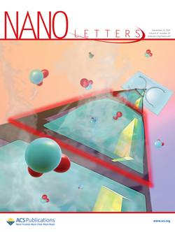 米国科学雑誌「Nano Letters」の表紙