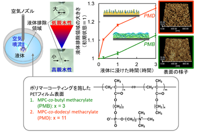 空気噴射液体排除法によるポリマーコーティングの水和挙動評価の図