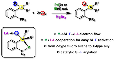 フルオロシランを用いた根岸クロス カップリング反応の図