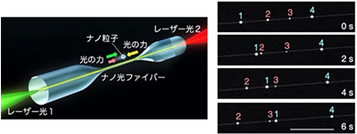 （左）ナノ粒子の輸送の概念図（右）光選別輸送実験結果