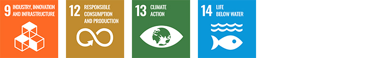 SDGs 9,12,13,14 icons