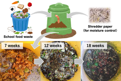 Fig.1 Process of making vermicompost using school food waste