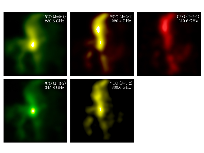 Distribution of CO isotopologues in the Orion molecular cloud