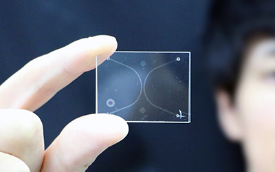 Nanofluidic device photo