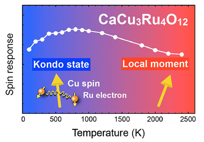 The spin dynamics as a function of temperature in CCRO