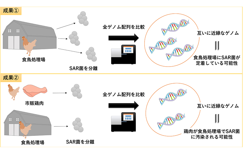 図の画像