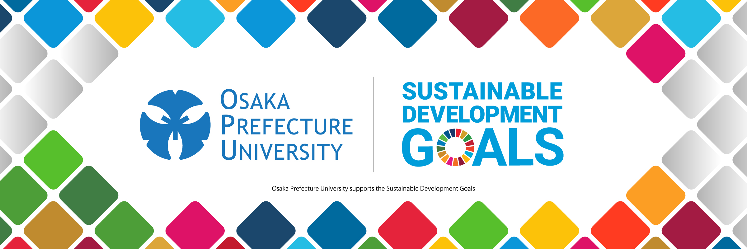 sdgs banner