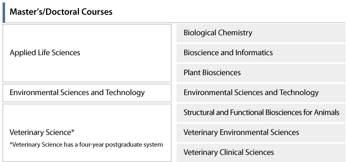 Master’s/Doctoral Courses